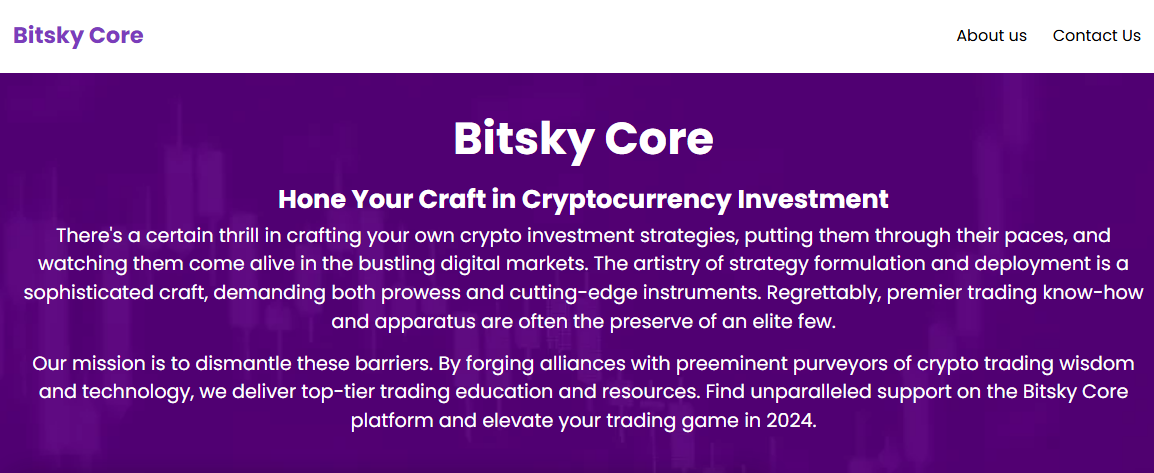 Bitsky Core Review