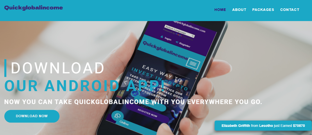 QuickGlobalIncome Review